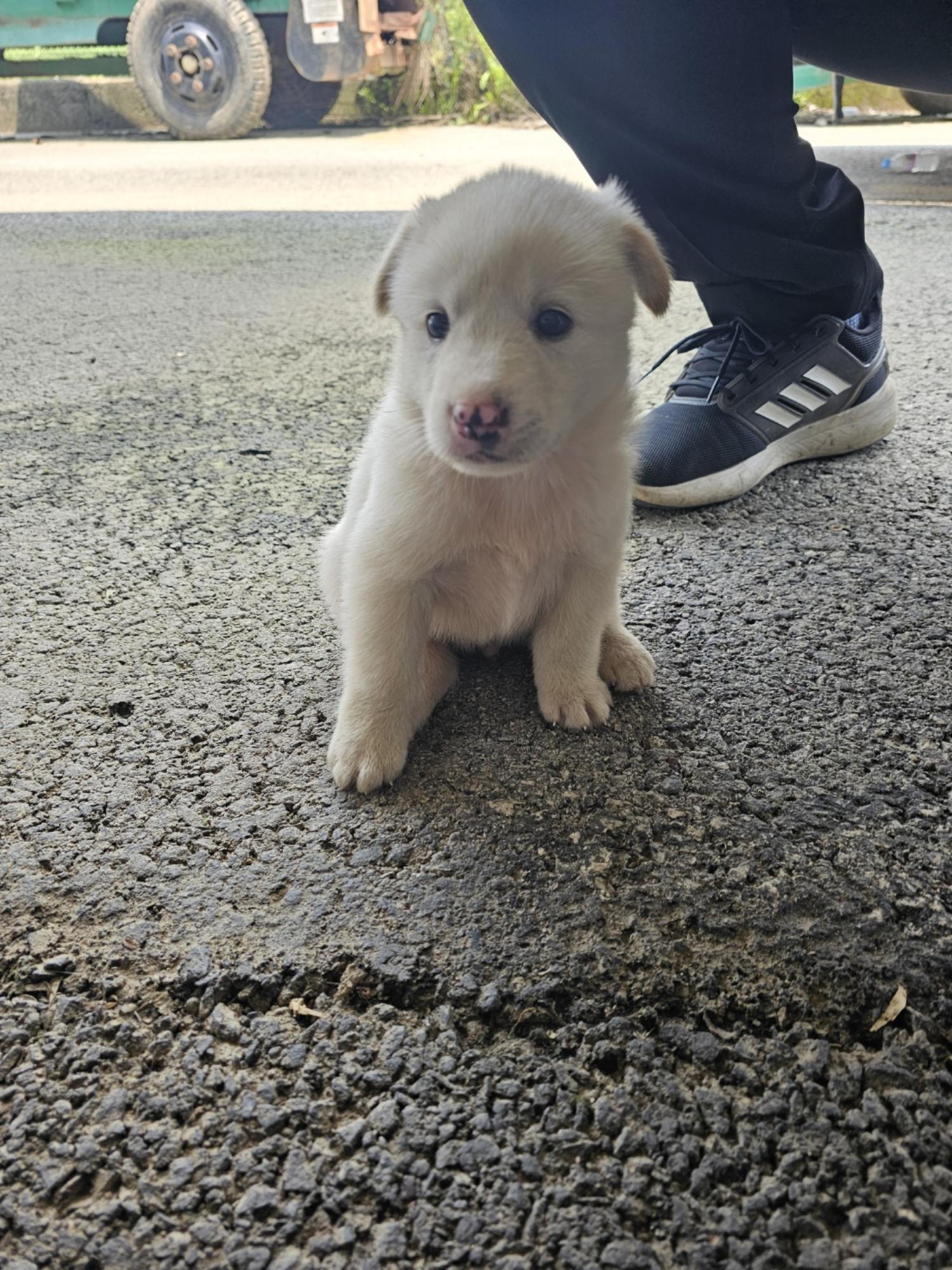 군위종합동물병원_427514202400406